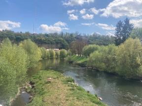 Die baumgesäumte Enz - Grüne Mitte in der Stadt.